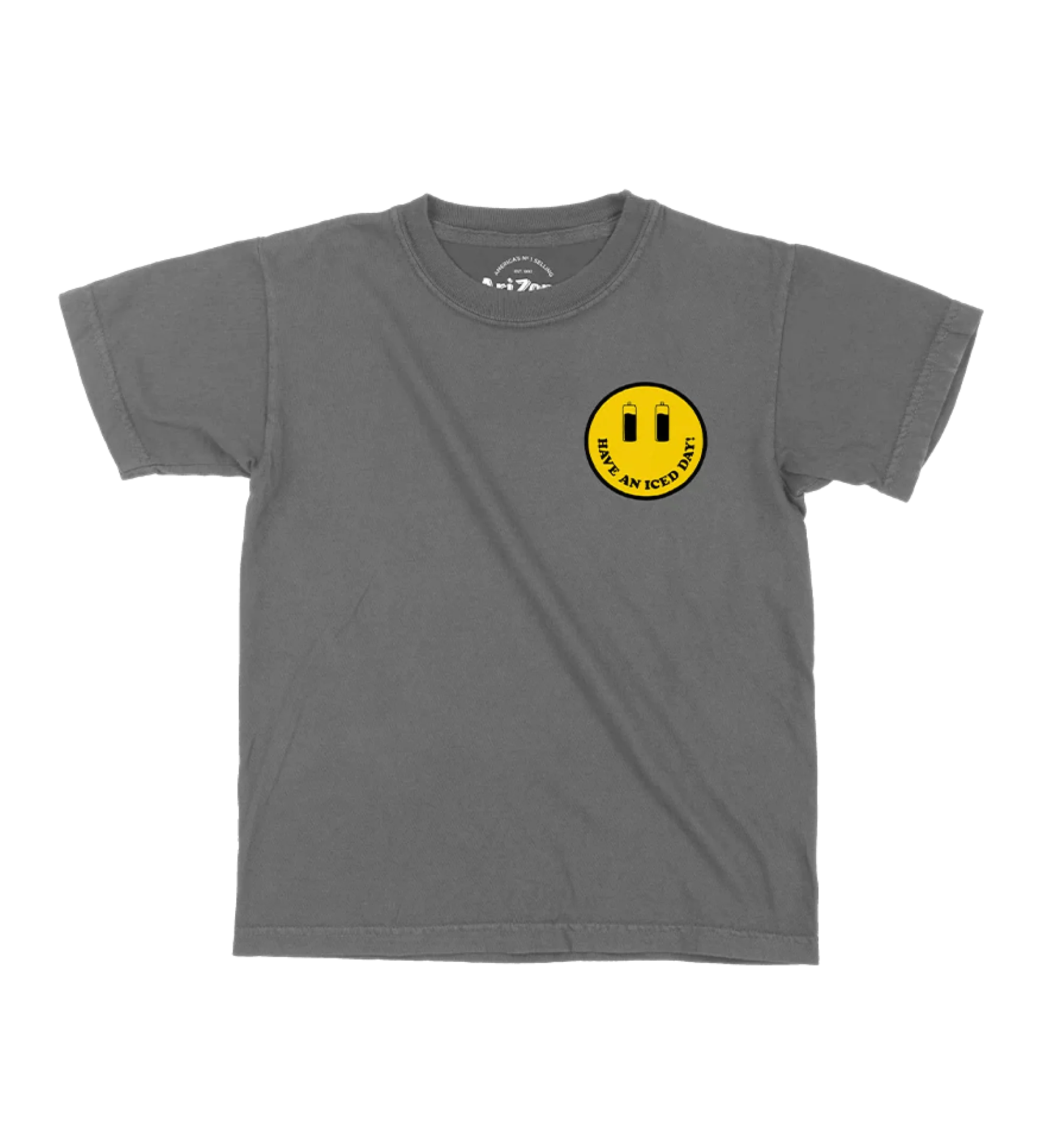 Flavors Gray Cotton T-Shirt | Youth