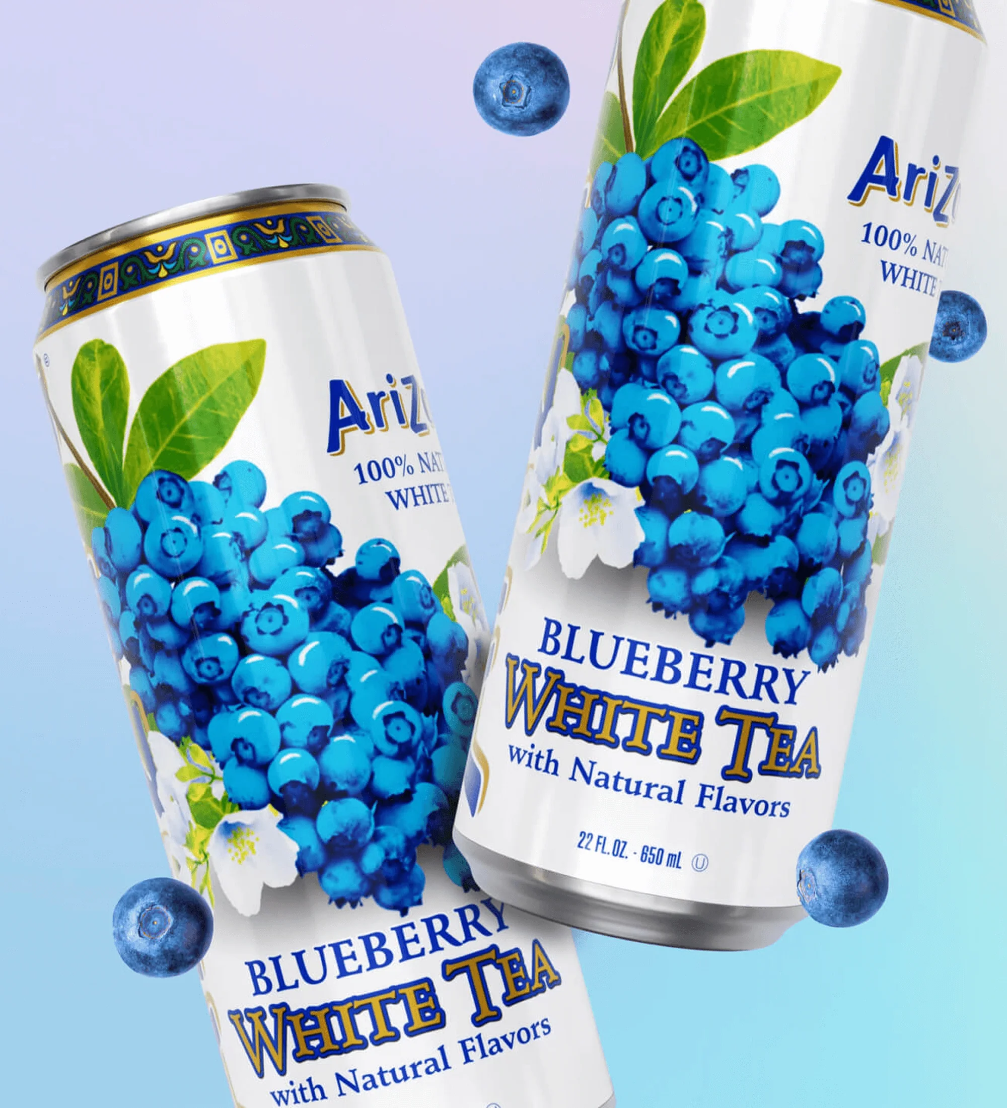 Blueberry White Tea | 22 oz. Big Can / 12-pack