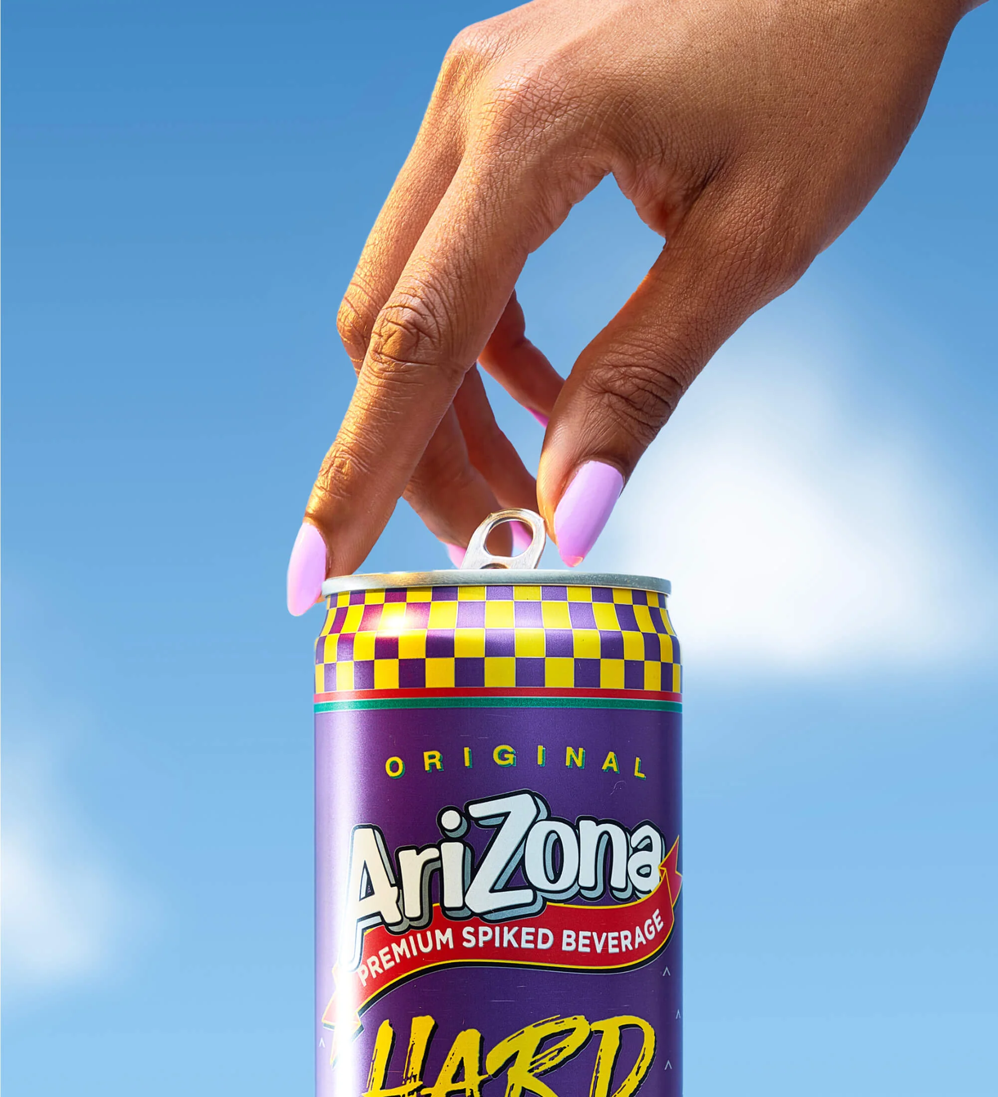 Hard Fruit Punch Juice Cocktail | 12 oz. / 12-pack